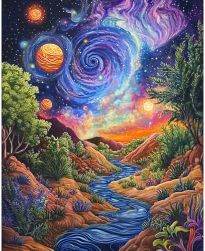 Landscape Paint by Numbers Kit for Adults Beginner Starry Night Oil Painting Kit Adult Paint by Number Kits on Canvas DIY Painting for Beginners Art by Numbers for Gifts Home Wall Decor 16x20 Inch by Unknown