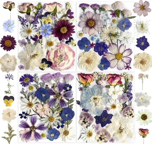 Purple Pressed Flowers 88Pcs Real Natural Dried for Resin Molds, DIY Crafts, Jewelry + Free 100Pcs Butterfly Stickers + Tweezers by Unknown