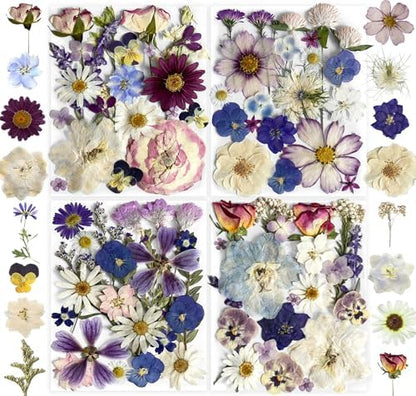 Purple Pressed Flowers 88Pcs Real Natural Dried for Resin Molds, DIY Crafts, Jewelry + Free 100Pcs Butterfly Stickers + Tweezers by Unknown