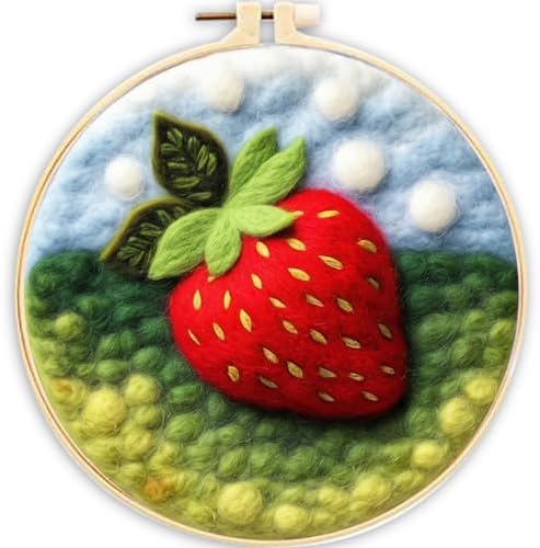 CaptainCrafts Needle Felting Kit for Adults Prairie Strawberry Pattern by CaptainCrafts