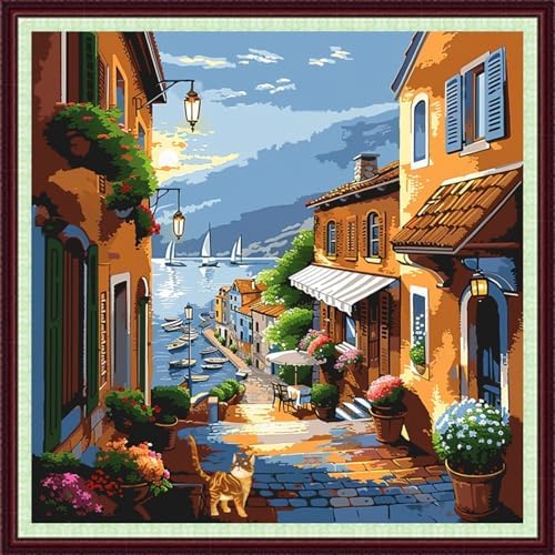 Dooxvey Cross Stitch Kits for Adults Beginners,Full Range of Cross-Stitch Stamped Kits Needlepoint Kits for Beginners Embroidery Kits 11CT Cross Stitch Patterns-Seaside Street Scenery 18x18 inch by DooxveyStampedEmbroideryKit