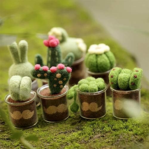 KISSBUTY Full Range of Needle Felting Kit, Cactus Wool Felted Set for Adults and Beginners Including Wool Roving for 8 Succulents, Foam Mat, Glass Pots, Needles, Finger Guards Tools Kit - Image 3