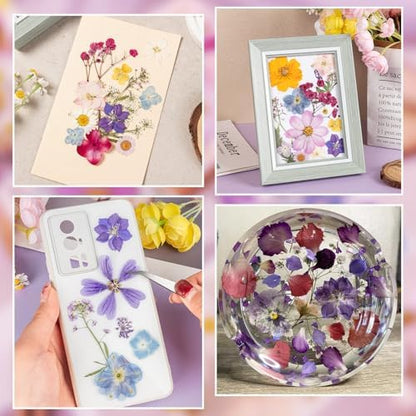 80PCS Spring Large Pressed Flowers Leaves , Real Nature Dry Flowers for Resin Craft, Larage Pressing Floral with Tweezers Set for DIY Jewelry Making Nail Card Scrapbook Art - Image 5