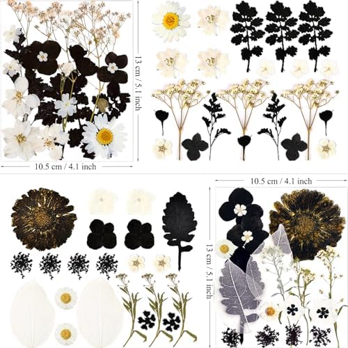 MIKIYA 84Pcs Black Dried Pressed Flowers for Resin Molds, Bulk Real Natural Dry Floral for DIY Art Crafts, Epoxy Jewelry, Candle, Soap Making, Nails Decor, Phone Case - Image 5