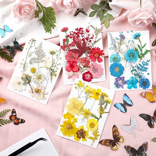 Augshy Real Dried Pressed Flower Set with Butterfly Transparent Stickers Scrapbook Decals Natural Dried Flowers Leaves with Tweezers for Resin Supplies DIY Candle Jewellery Making - Image 3