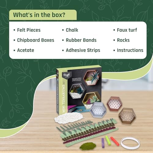 Craft Crush — Mini Plants Terrariums Easy Fun Arts and Craft Kit — Make 3 Charming Faux Terrariums! — For Ages 13 and Up - Image 5