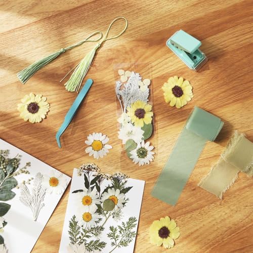 AmazingSpark 222 Pcs Dried Flower Bookmark Kit with Tassels, Classic Color - Image 4