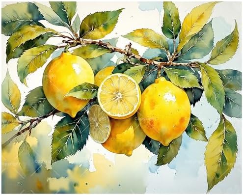 Fresh Lemons Paint by Numbers Kit for Adults - DIY Detailed Watercolor-Style of Lemons and Leaves Painting on Canvas 16x20In, Framed Acrylic Paint Set for Beginners, Art for Home Decoration or Gifts by Unknown