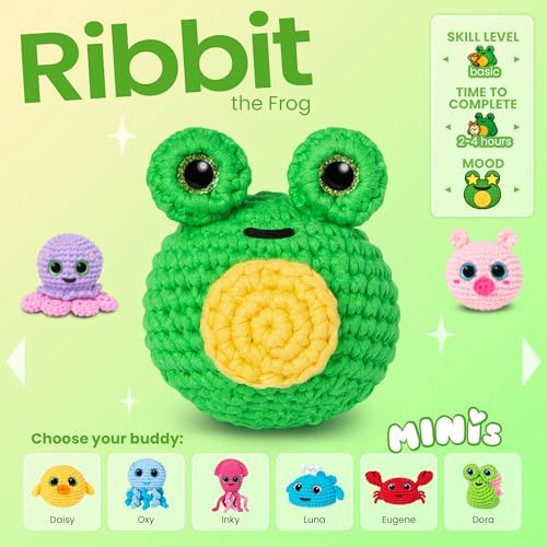 Cookie Box Crochet Kit for Beginners, Frog Mr. Ribbit - Image 3