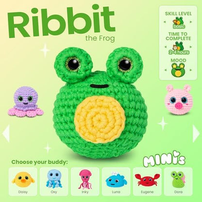 Cookie Box Crochet Kit for Beginners, Frog Mr. Ribbit - Image 3