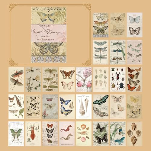 60 Sheets Junk Journal Ephemera Kit, 30 Unique Vintage Scrapbook Paper Patterns for Bullet Journal, Planner Supplies, 3x2 inch (80x50mm) Collage Material (Nature Insects) by Gryast