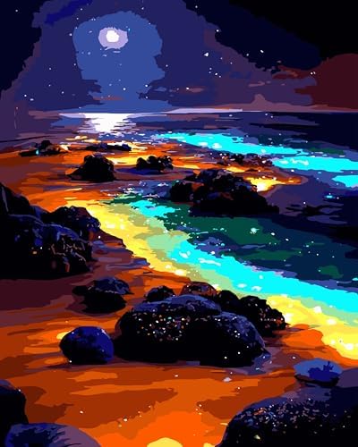 Yunnuo Paint by Numbers Kit for Adults, Seaside Night Scene Adult Paint by Number Kits on Canvas, DIY Beach Number Painting for Wall Decoration Festival Gifts 16"x20"(Glowing Sea Water& Moon) by Yunnuo-premiumdiyartpaintingkits