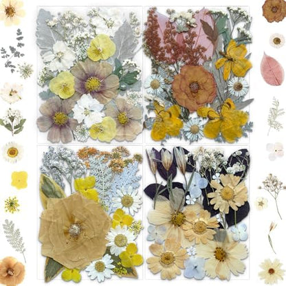 MIKIYA 90Pcs Dried Pressed Flowers for Resin Molds, Vintage White Bulk Real Natural Dry Floral for DIY Art Crafts, Epoxy Jewelry, Candle, Soap Making, Nails Decor, Phone Case by MIKIYA