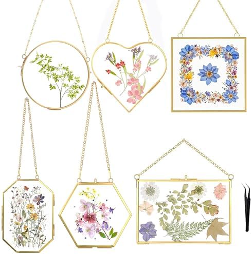 Pressed Flower Frames, Double Glass Hanging Picture Frames 6PCS by Unknown