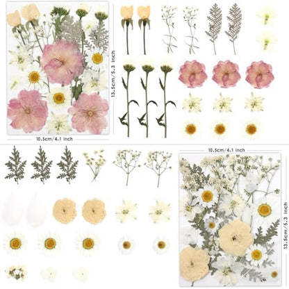 LUXEEASE 80P White Pink Dried Pressed Flowers - Image 3
