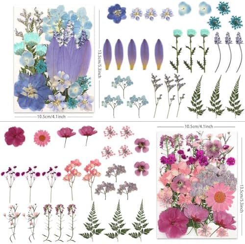 LUXEEASE 4 Color 110P Long Stem Dried Pressed Flowers - Image 3