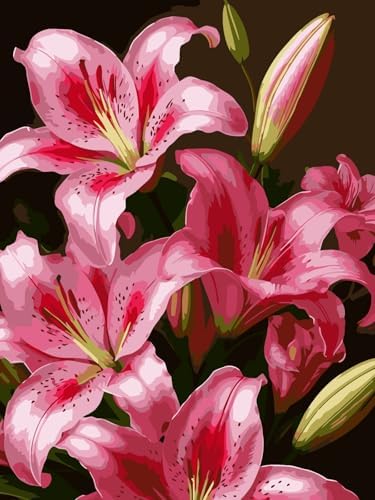 Mosaflare Lily Flower Paint by Numbers for Adults Beginner 12X16 inch by Mosaflare