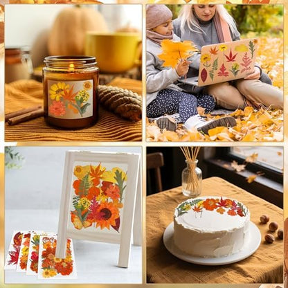 100 PCS Real Fall Dried Pressed Flowers Leaves Fall Natural Dried Flowers Leaves Kit Autumn Pressed Dry Flower Leaf Set for Scrapbooking DIY Art Craft Resin Jewelry Molds Candle Soap Making Nail Decor - Image 6