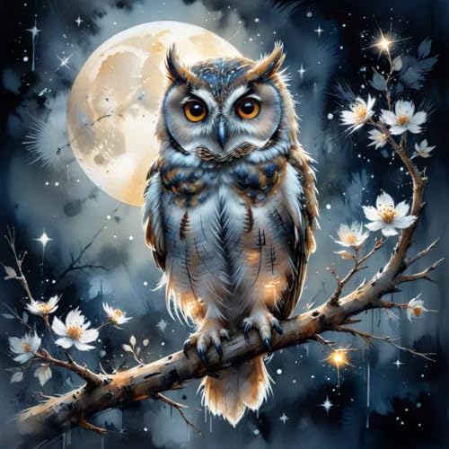 Diamond Art Kits for Adults, Owl Diamond Art Painting Kits for Adults by croshom