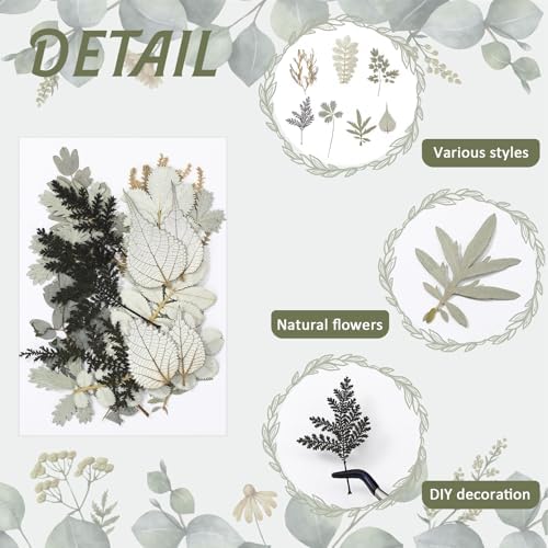 Timtin 84 Pieces Dried Pressed Leaves Dried Flowers for Resin Dried Leaves for Resin Mini Dried Flowers for Crafts Dried Greenery Assorted for Art DIY Handmade Bookmarks 4 Bags (Stylish Style) - Image 4