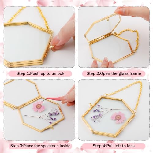 12 Pcs Pressed Flower Frames Craft Kit for Adults Double Glass Frame Decor - Image 3