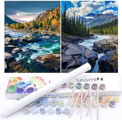 BAISITE Paint by Numbers Kit for Adults Beginners,12" Wx16 L 2 Pack Canvas for Painting Kits for Adults in Colorful Box-BAIPBN605-606 by PaintbyNumbersKitsforAdults