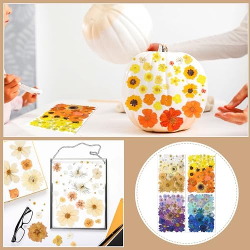 Nuanchu 200 Pcs Pressed Flowers Bulk Dried Flower for Craft Resin Mold Bookmark Scrapbooking Nail Cake White Orange Natural Pressed Dried Floral with Tweezer DIY Gift(Bright Color,Natural Style) - Image 6