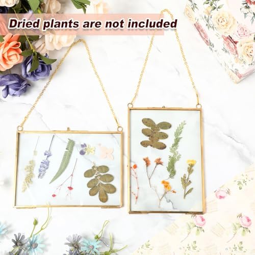 Barydat 36 Pcs Pressed Flower Frame Floating Glass Frames, 5“x7”, Gold - Image 5