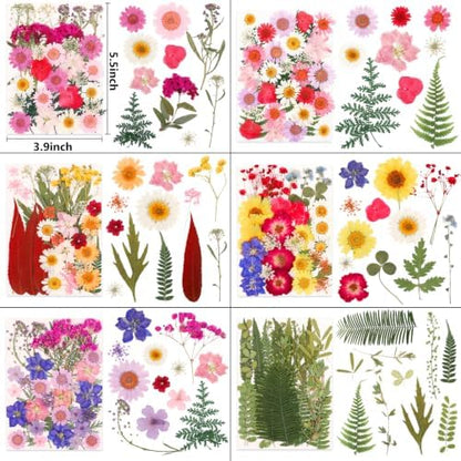 210 Pcs Dried Pressed Flowers for Resin,Real Nature Dried Flowers for Craft - Image 3
