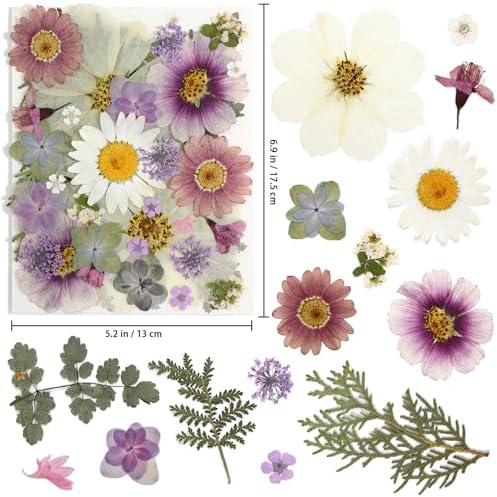 40PCS Real Nature Dried Pressed Flowers for Resin Mold, Dry Pressing Floral with Butterfly Transparent Stickers Set for DIY Jewelry Card Scrapbook Art Craft Decors - Image 2