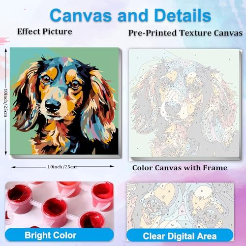 Artunion Framed Paint by Numbers Kit for Adults Beginners & Kids Ages 8-12,Colorful Dachshund Dog Paint by Number with Frame,Dog Animal Paint by Numbers Kit on Canvas 10 * 10 Inch Without Easel - Image 4