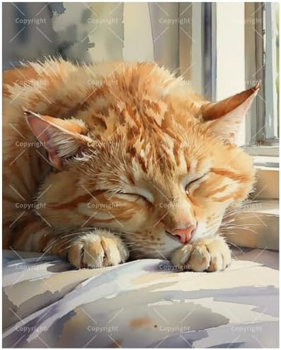 TAOPAOLAB Sleeping Cat Paint by Numbers Kit for Adults - DIY Orange Tabby by Window Painting on Canvas 16x20In, Acrylic Paint Set, Suitable for Beginners, Art for Home Decoration or Gifts by Unknown