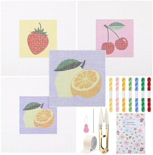 Chumia 3 Pcs Fruit Needlepoint Canvas Kit for Adult 13ct 8" x 8" by Chumia