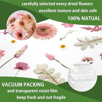 34 Types 60PCS Real Dried Pressed Flowers Leaf Plant Herbarium for DIY Resin Jewelry Making Floral Decors Candle Soap Scrapbook Supplies Card - Image 4