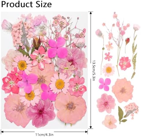 50Pcs Dried Pressed Flowers Real Pressed Flowers Natural Dry Leaves Bulk Mixed Colorful Herbs Kit with Tweezers for Scrapbooking DIY Candle Jewelry Crafts Making Nails (Pink) - Image 2