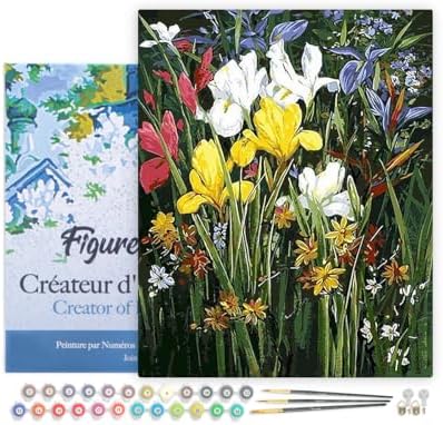 Figured'Art Paint by Numbers for Adults with Frame Colorful Field of Flowers 16"x20" - Craft Art Painting DIY Kit Canvas Already Stretched on a Wooden Frame by FiguredArt