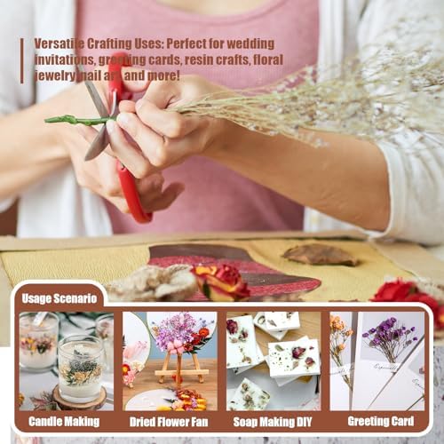 6 Color Themes Natural Dried Flowers Small Real Dry Flower for Resin, Soap Making, Greeting Cards, Craft Projects - Image 3