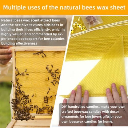 Lacaser Beeswax Sheets for Candle Making, Full Candle Making 50 Pcs Kit - Image 4