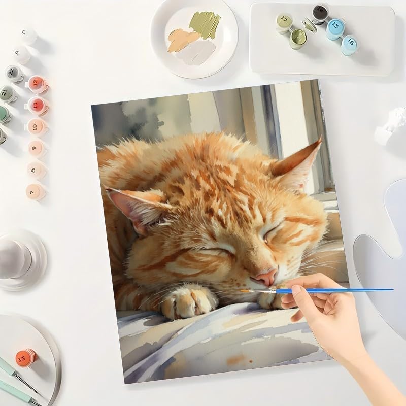 TAOPAOLAB Sleeping Cat Paint by Numbers Kit for Adults - DIY Orange Tabby by Window Painting on Canvas 12x16In, Framed Acrylic Paint Set, Suitable for Beginners, Art for Home Decoration or Gifts - Image 3