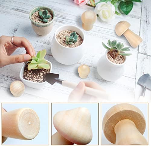 36 Pieces Unfinished Wooden Mushrooms 6 Size Natural Plain Unpainted Wooden Mini Mushroom Figurines for DIY Art Crafts Projects DIY Paint Color Home Desk Bookshelves Ornaments - Image 3