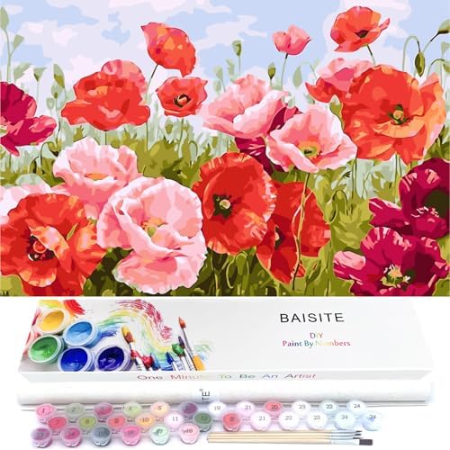 BAISITE Paint by Numbers Kit for Adults Beginners,20" Wx16 L Canvas for Painting Kits for Adults in Colorful Box Poppy Flowers-BSC001 by PaintbyNumbersKitsforAdults