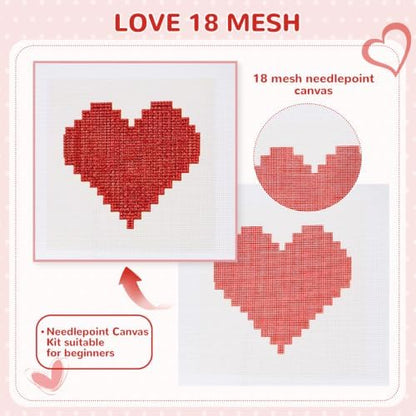 22Pcs Red Heart 18 Mesh Needlepoint Canvas Kit for Beginners Adults - Image 3