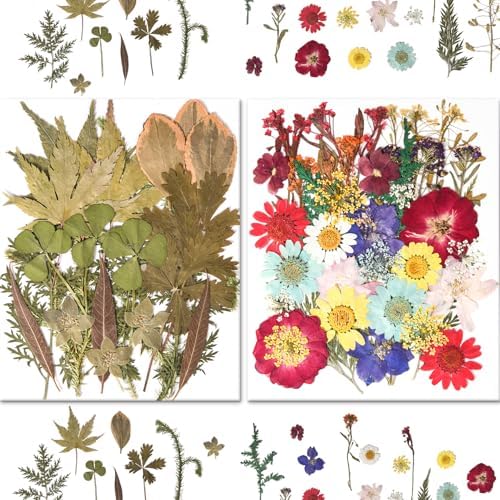 184 PCS Real Pressed Dried Flowers and Leaves for Resin - Image 3