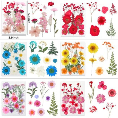 428 Pcs Dried Pressed Flowers for Resin,Real Nature Dried Flowers for Craft - Image 3