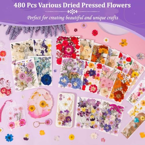 Evatage 480 Pcs Real Dried Pressed Flowers for Resin Crafts - Image 2