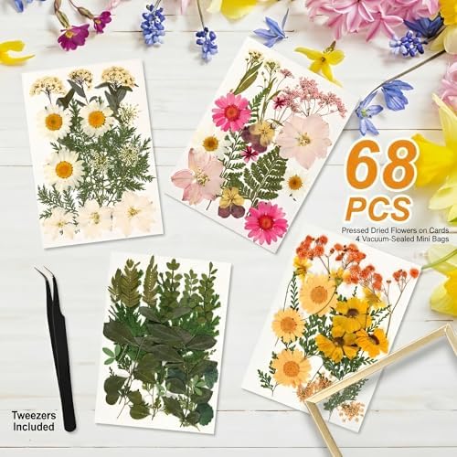 Relaxing Garden Pressed Flower Frame Kit, 3 Frames, 68 Flower Pieces - Image 3