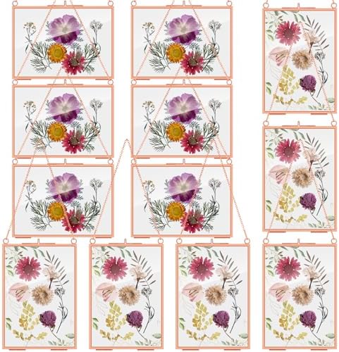 Barydat 12 Pcs Pressed Flower Frame Floating Glass Frames, 5“x7”, Rose Gold by home