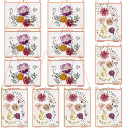 Barydat 12 Pcs Pressed Flower Frame Floating Glass Frames, 5“x7”, Rose Gold by home