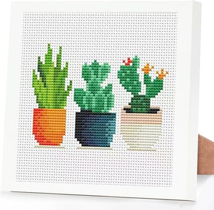 Tiwabb Succulent Stamped Cross Stitch Kits for Adults Beginners with Frame by DIYHomeDecor