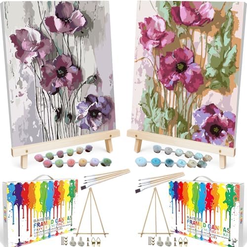 BAISITE Paint by Numbers Kit for Adults Beginners,8" Wx12 L 2 Pack Canvas for Painting Kits for Adults in Colorful Box 6566-ALREADY Framed by PaintbyNumbersKitsforAdults